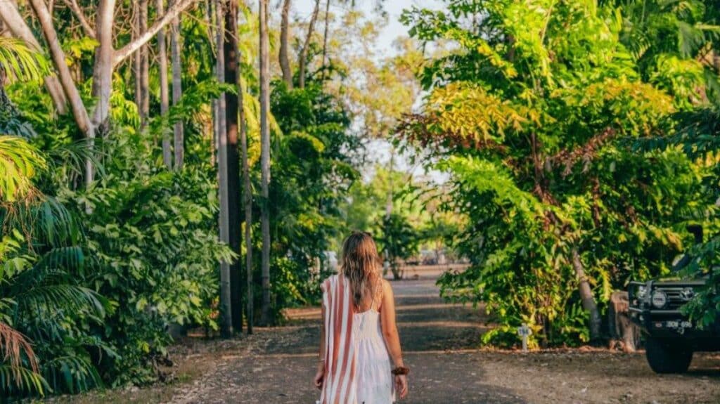 walks in the tropical forest big 4 caravan park darwin