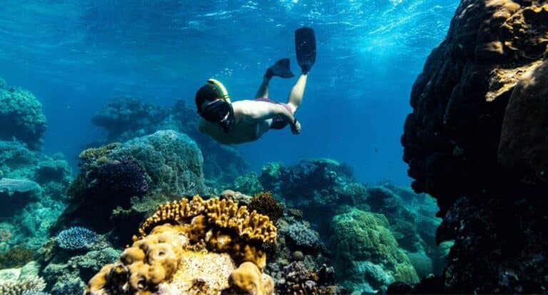 Scuba divers exploring the Great Barrier Reef - credit Tourism and Events QLD