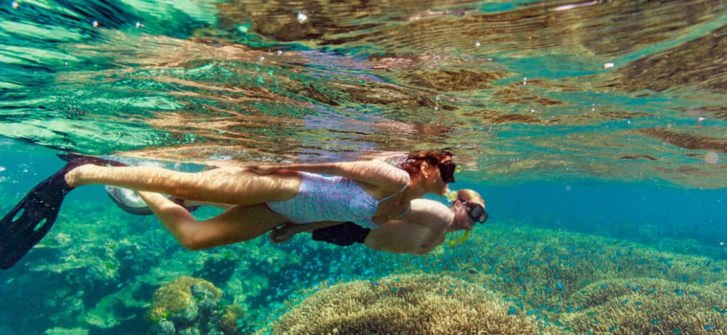Snorkeling the Great Barrier Reef, QLD