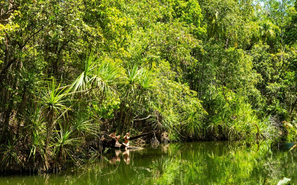 Berry Springs National Park, Berry Springs, Darwin, Northern Territory
